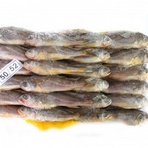 조기 2.4kg(52미 내외) 담백하고 고소한 조기, 단품