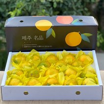 제주 새콤달콤한 황금향 선물세트, 1세트, 선물용4.5kg 대과(10-15과)