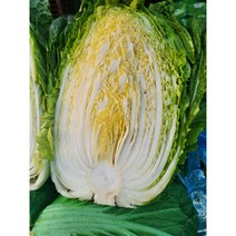 (꿈의그린)22년도 국내산 햇 배추 1망(3포기) 1박스, 10kg 1망(대 3포기)