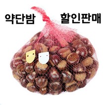 약단밤 5kg 2.5kg 맛있는 햇밤 생밤 작은알밤 작은밤 하북 천서지역, 5kg-100원 동전크기(칼집x)별도판매중