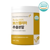 보스웰리아 가루 보스웰릭산 추출물 관절 Boswellia 인도산 프랑킨센스 나무 수액 AKBA KBA 분말 100% 유향나무 추천 효능