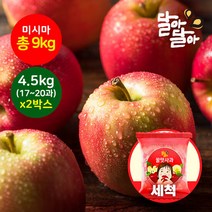 달아달아 못난이 미시마 세척사과 4.5kg(17-20과) 2박스, 단품