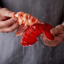 캐나다 랍스터 테일 꼬리 110-140g 바닷가재 활 생 급랭 손질 냉동 랍스타 4온스