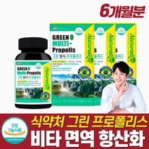 식약처 항산화 비타민 그린 프로폴리스 구강 항균 입속 몸속 피곤할때 입안 헐었을때 영양제 대용량 작은 알약 캡슐 항산화 영양제 면연력 보충 강화제 비염 구내염 츄어블 피곤할때