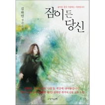 잠이 든 당신:김하인 장편소설, 느낌이있는책, 김하인 저