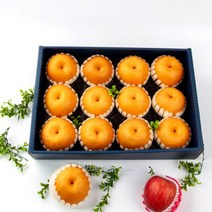 익산원예농협 정성담은 배세트 7.5kg (특품11-12과내), 단일옵션