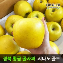 이츠올릿 경북 시나노 골드 황금 꿀사과 5kg (가정용 소꼬마과 29-33과) 노란 스위트 사과 청송 밀양 얼음골, 1개