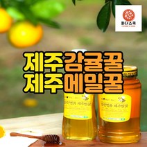 제주 천연벌꿀 100% 메밀꿀 감귤꿀 바퀴달린집꿀 메밀꽃꿀 농장 산지직송, 메밀꿀 500g