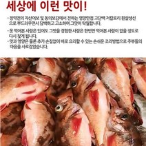 가거도 불볼락 볼락 생선 명절 선물세트 생선구이 흰살 붉은, 옵션명, 가거도 불볼락 특대 2미