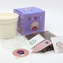 고양이간식 고양이식물 캣닢, 보리싹