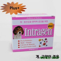 기운없는고양이 유산균스틱 비타민 포메라인안간식 강아지입맛없을때 펫영양관리