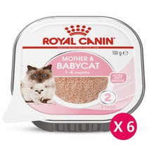 친절한 도그씨 로얄캐닌 마더앤베이비 캣 캔 100g x6개 울트라소프트 무스캔