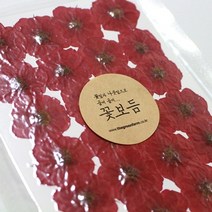 그린팜네이처 꽃보듬 압화-장미, 장미
