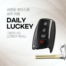 현대 그랜져 HG 스마트키 케이스 교체 DIY, 혼합색상