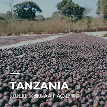 [생두] 탄자니아 음베야 AA FAQ 내추럴 1kg