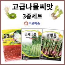 주주씨앗 세계 고급 나물씨앗 3종 세트 / 달래 궁채 땅두릅 산나물 종자 토종 민속 산채 채소씨앗 채소씨 종자 봄 여름 가을 겨울 월동 파종, 1개