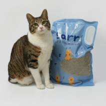 가성비 먼지없는 고양이 모래 벤토나이트 대용량 가는입자 단단 국민