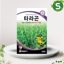 타라곤 씨앗 2000립 다년생 숙근성 허브씨앗 종자, 단품