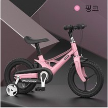 디와이(DY) Phoenix 아동 어린이 자전거 12 14 16인치 레드 무지개 블랙 핑크, 핑크+14인치