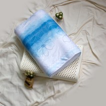 굿슬립 굴곡형 라텍스 베개(대형), 피오레BL