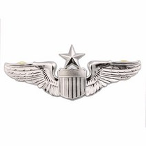 Armyshop2008 USAF 미국 공군 시니어 파일럿 메탈 윙 배지 휘장 실버 밀리터리 브로치, 01 은