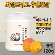 100% 와일드 망고 종자 추출 분말 120g 건강한 원물 안전한 성분 첨가물 없는 순수 와일드 망고 종자 추출물 바로 섭취하거나 물 우유 음료수에 타서 섭취, 1통 120g