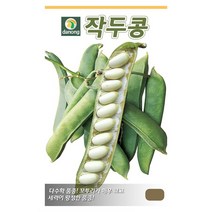 작두콩씨앗 100립 채소 덩굴성 국내생산 콩씨앗, 1개