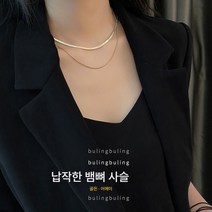 스네이크 체인 목걸이 럭셔리 미니멀 쇄골 체인 여성 목걸이 이중 고급 액세서리 선물
