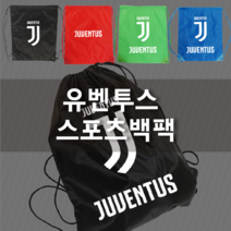 제작 유벤투스 슈즈백 신발축구화가방짐쌕 용품, 그린
