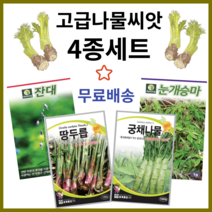 주주씨앗 고급 나물씨앗 4종 세트 / 잔대 눈개승마 땅두릅 궁채 종자 두릅나물 궁채나물 토종 민속 산채 채소씨앗 채소씨 종자 봄 여름 가을 겨울 월동 파종, 1개