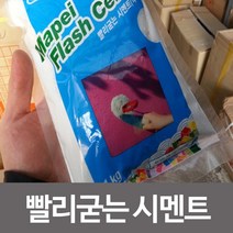 건강-드림_빨리굳는 시멘트 균열 보수 공사 미장 난간 집수리 바닥 가정용 보수용 인테리어 고정용 접착_rjsrkdemf, 건강_드림-옵션_시멘트-회색