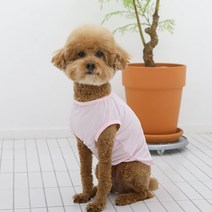강아지 여름옷 파스텔 소프트 쿨나시 중형견 대형견옷, 핑크