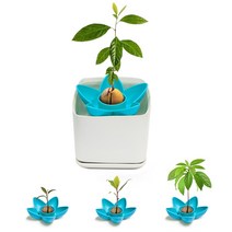 고추 발아기 볍씨 종자 마늘 인큐베이터 씨앗 파종기 아보카도 심기 그릇 식물 발아 트레이 수경재배 타워 아보카도 나무 성장하는 자연 부모자식 상호작용 선물