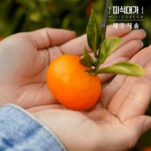 고당도 귤 제주 감귤 하우스귤 노지귤 조생귤, 선택1. 하우스 감귤(가정용) 3kg, 1개