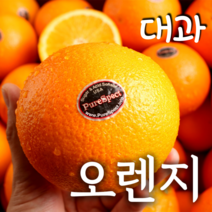 푸릇푸릇 고당도 블랙라벨 오렌지 캘리포니아오렌지 대과 250g, 오렌지 대과 250g내외 36과