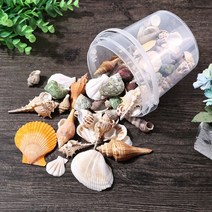 활용도가 높고 예쁜 천연 조개 껍데기 혼합 세트, 2번 세트