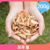 건강 한방차 건모과 절 200g 영양 어르신 건조 선물
