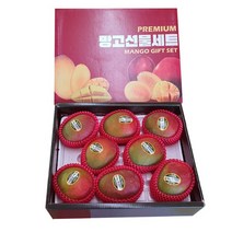 애플망고7~10과내외 망고 선물세트