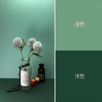 양면 PVC 2in1 그라데이션 확산판 판 흰색 크로마키 젤라틴 인물 스크린 감성 장비 촬영 배경지 조명 방송 포토 배경 천 미니 스튜디오 사진 제품 반사판 음식 휴대용 소품 홈, 006옐로우계