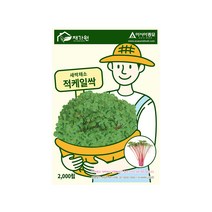 [한국원예자재] 새싹채소 적케일싹 씨앗