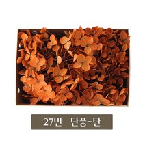 화연양화 블루밍수국 박스수국 컬러최다 30색! 프리저브드플라워, 27 단풍-탄