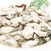 [푸르젠] 당일직송 수협경매 여수 생굴, 1kg(중), 1개