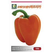 새로운 쥬키니 호박 씨앗 30립 - 쥬키니호박 호박씨앗 애호박 야채씨앗 채소씨앗 채소재배 종묘 종자 베란다 텃밭 씨 씨앗 오이 호박 방, 24_다농_오메가 오렌지파프리카(10립)