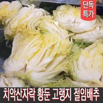 직접 재배하고 절인 강원도절임배추 고랭지배추 김장배추 20kg 출고일선택, 12월 9일 (금) 출발 10일 (토) 도착