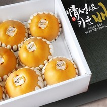 프리미엄 꿀 나주배 신고배 가정용 선물용 과일 햇 배 설 추석 명절 선물 세트 한박스 5kg 7.5kg 15kg, 9. 도라지 배즙 120ml 50포