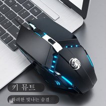 DFMEI 마우스 유선 음소거 게임 기계 게임 빛나는 악화 USB 컴퓨터 노트북, F11 음소거(검정 4D 호흡), 마우스 + 마우스 패드