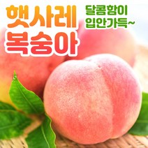 [산지직송] 감곡 햇사레 복숭아 백도 황도 딱딱이 딱딱 말랑이 부드러운 제철 과일 선물용 중과 대과 3kg 4kg, 2. 햇사레 복숭아 3kg 10과 내외, 1개