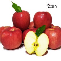 경북사과 햇 꿀 홍로 빨간사과10kg 5kg 3kg [산지직송] 산들정, 1box, 02. 사과 5kg (27~30과 내외) 가정용 흠과