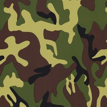 수전사필름 자동차랩핑50*100cm 물 전송 하이드로디핑 필름 PVA 디핑 수로 트림 자동차 휠 헬멧 장식, 12 14_01 50x100cm