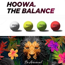 CH1527680 칼라 골프공 골프용품 홀인원기념품, 1box, 라임(12구 풀더즌)